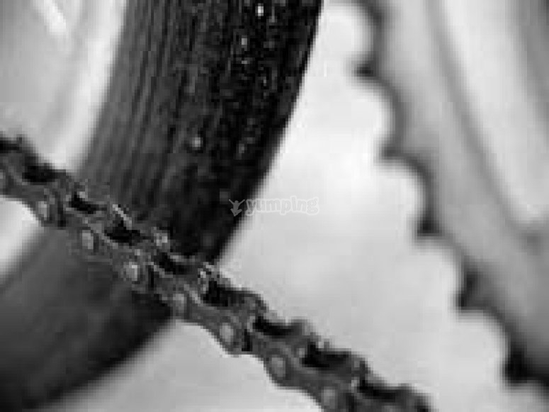 The bike chain The bike chain